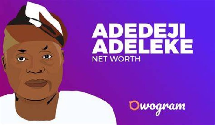 Adedeji Adeleke Net Worth And Biography 2021