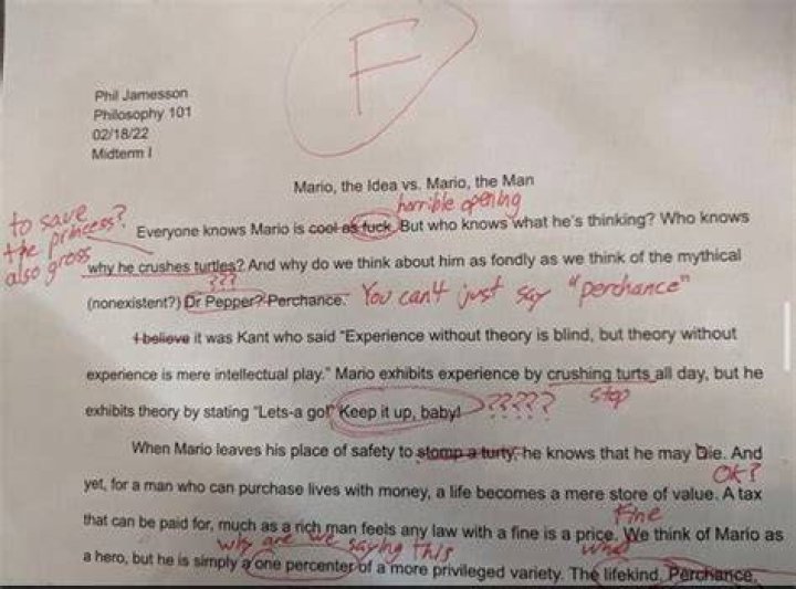 Phil Jamesson Philosophy 101 \ Midterm Mario, the Idea vs. Mario, the