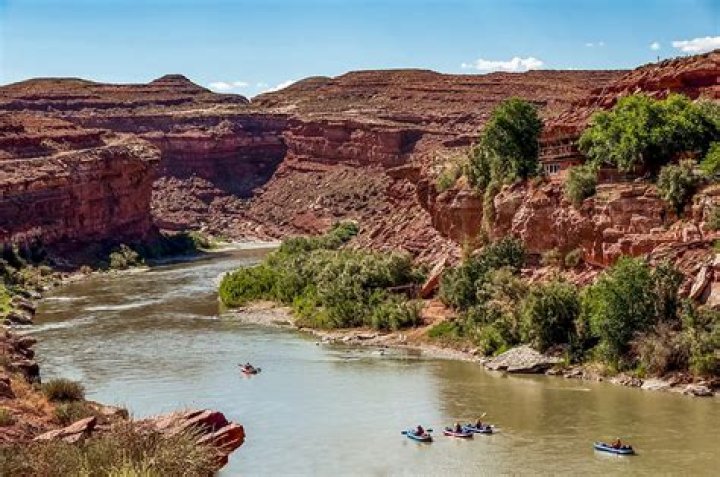 Pin on san juan river fishing