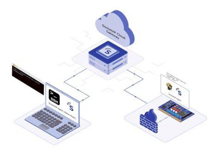 Remote IoT Access: Secure SSH Solutions & Management