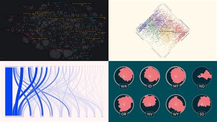 The Essential Guide For Visualizing Complex