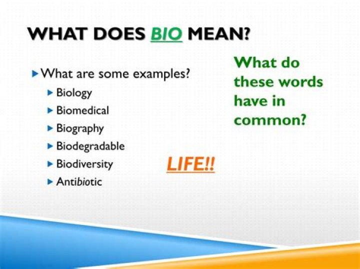 What Does the Bio Mean on Twitter?