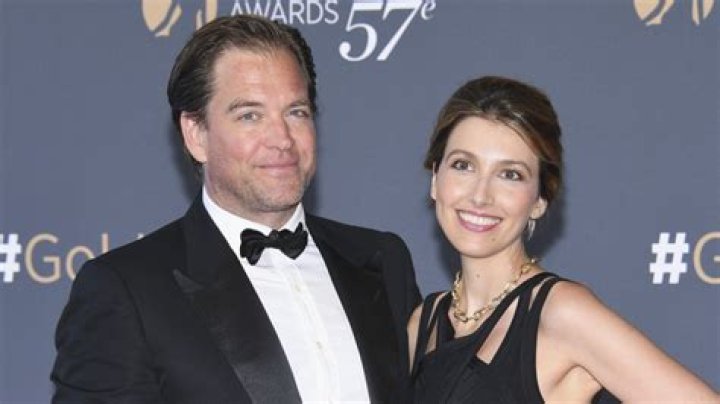 Who Is Michael Weatherly's Wife? Does He Have Any Exes?