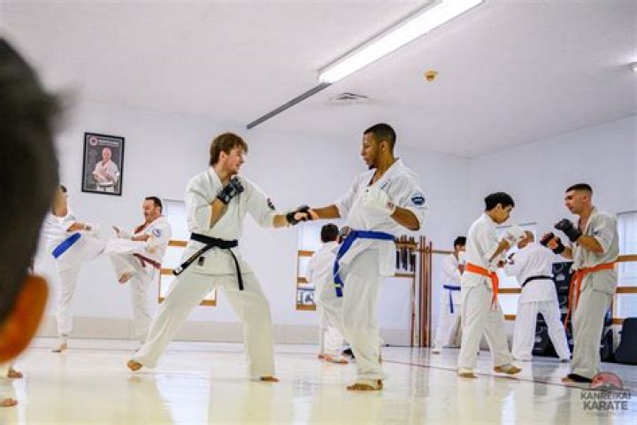 Why Did Aisha Quit Karate? Exploring Her Path Beyond the Dojo